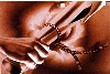 1215662_s_surety