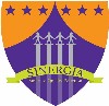 Sinergia%20logo