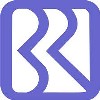 Logo bri